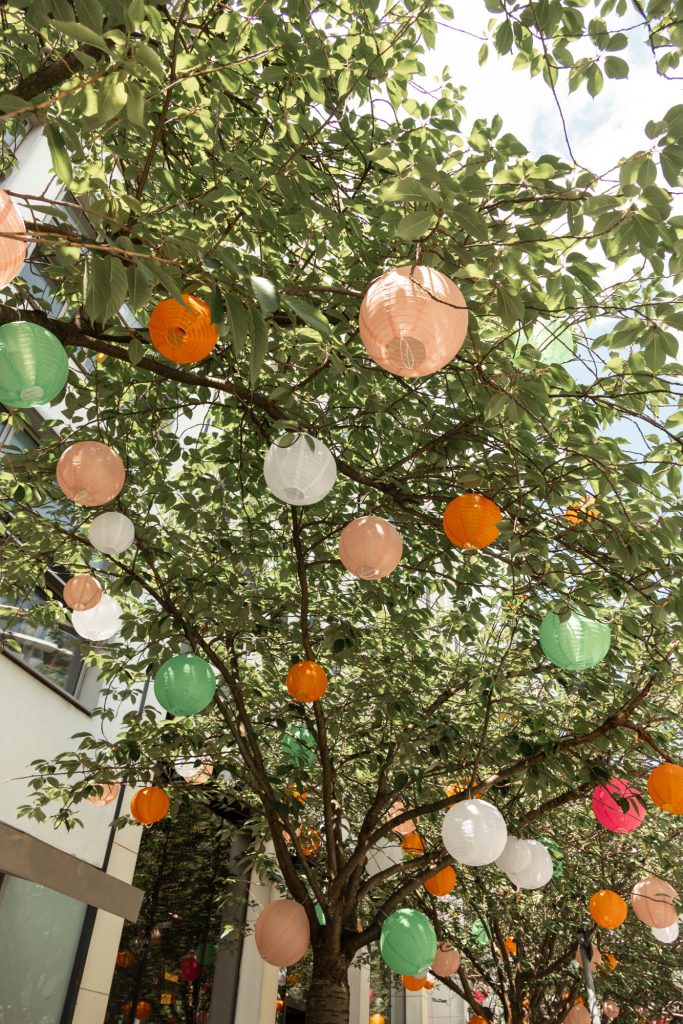 Pastellfarbene Lampions in Grün, Orange, Rosa und Weiß in einem Kirschbaum in den Hohen Bleichen
