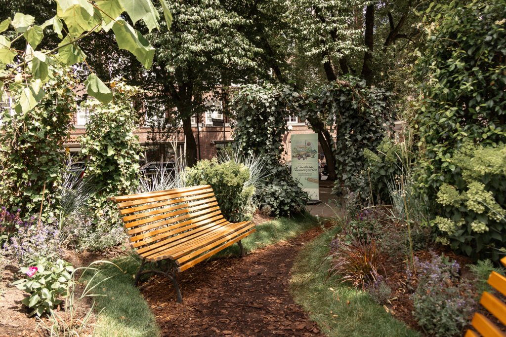 Gelbe Holzbank an einem Weg aus Rindenmulch zwischen Bäumen, Farnen und Gräsern in den Hohen Bleichen