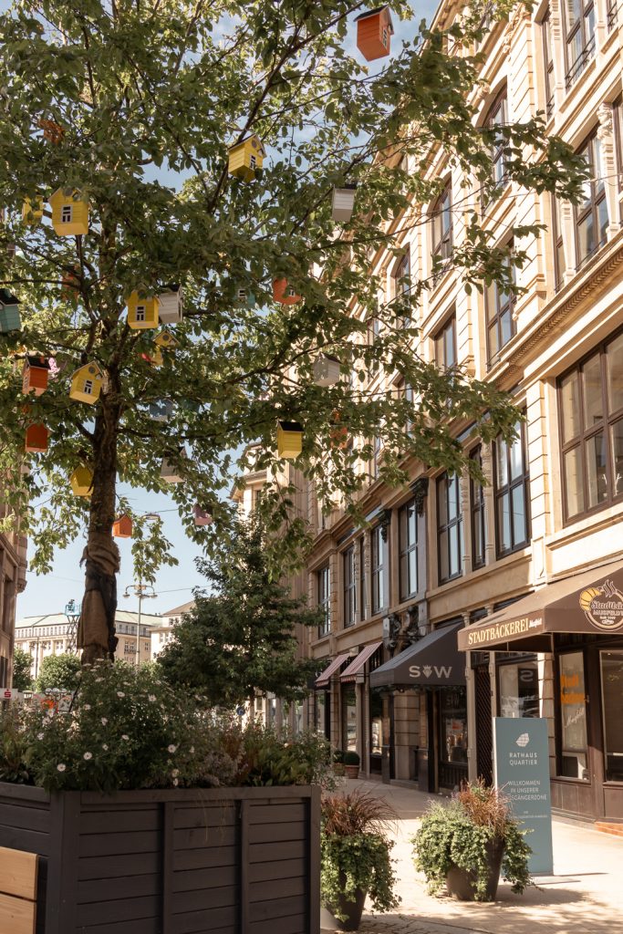 Bunte Häuschen in einem Baum und Pflanzkübel vor einer Fassade im Rathausquartier