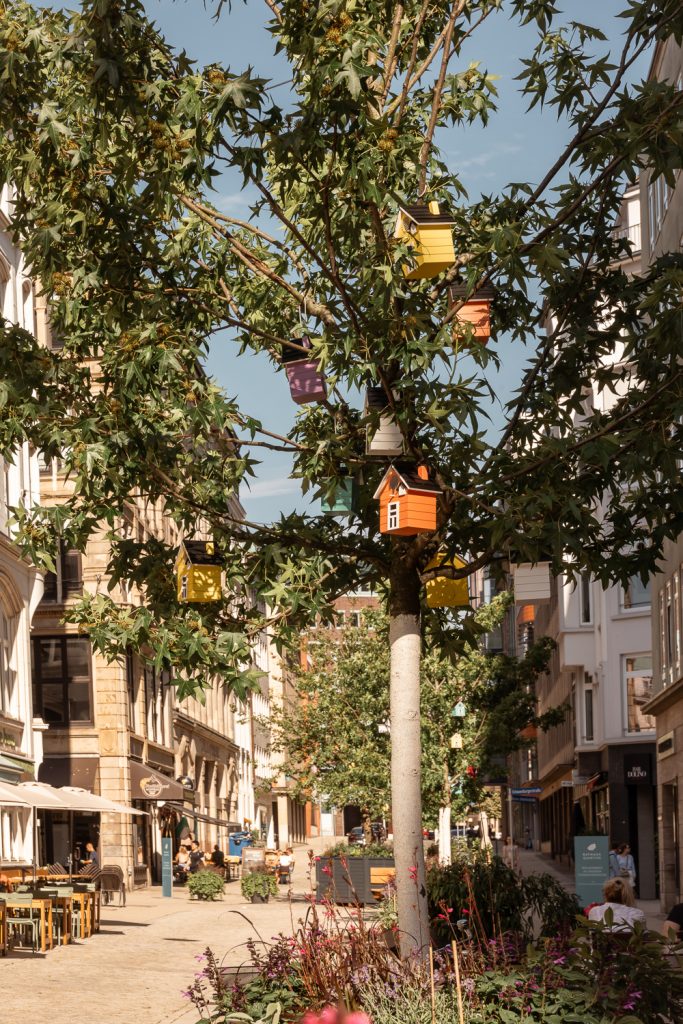 Farbige Häuschen mit Satteldach in einem Baum im Rathausquartier, Hamburgs Sommergärten 2026