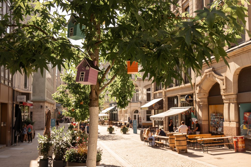Bunte Vogelhäuschen in einem Straßenbaum über Cafétischen im Rathausquartier