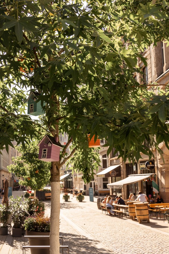 Häuschen in einem Straßenbaum über den Cafétischen im Rathausquartier
