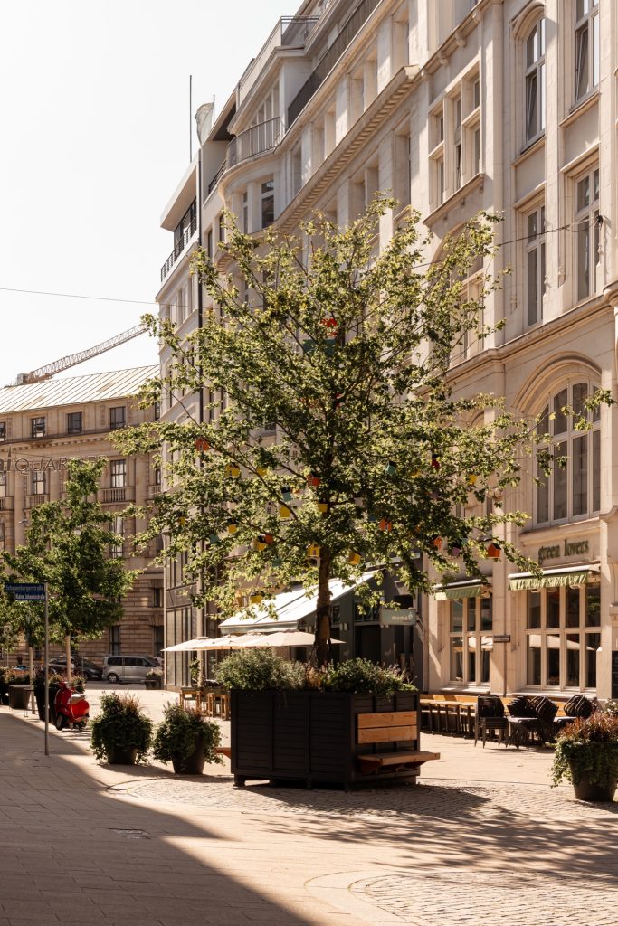 Pflanzkübel mit Holzbank unter einem Baum vor historischen Fassaden im Rathausquartier