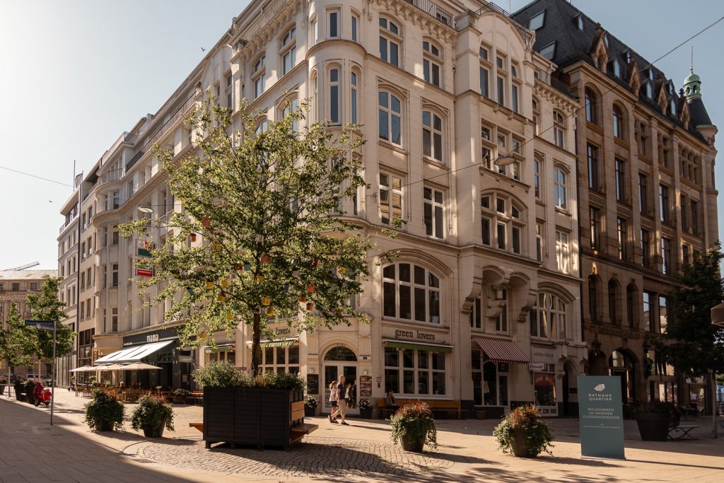 Pflanzgefäße mit Salbei, Lavendel und Gräsern vor historischen Fassaden im Rathausquartier